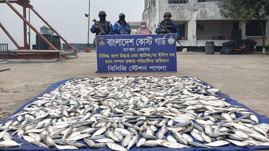 কাঁচপুরে  কোস্টগার্ডের অভিযানে ২ হাজার ৫০০ কেজি জাটকা জব্দ