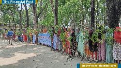 পরিবেশ দিবসে শিক্ষার্থীরা পেলেন গাছের চারা