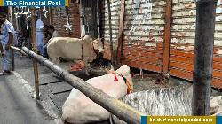 ঈদুল আজহার দ্বিতীয় দিনেও রাজধানীতে পশু কোরবানি