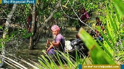 সাগর ও সুন্দরবনে মাছ ধরায় নিষেধাজ্ঞা, বিপাকে জেলেরা