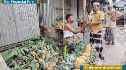 মৌসুমি ফলের ব্যবসায় চা-পান দোকানি লিটন মিয়ার বাড়তি আয়