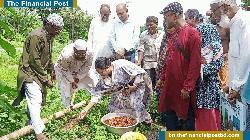 মাগুরায় ‘প্রতিবন্ধী কল্যাণ সংস্থা’র বৃক্ষরোপণ