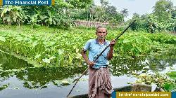 হরিহর নদীতে ভেসে ওঠা সবুজ স্বপ্নের চাষ