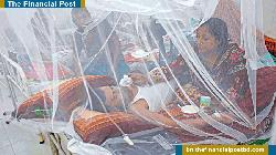 ডেঙ্গুতে একদিনে ১২ জনের মৃত্যু