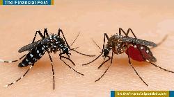 অর্ধেক জনবল, অর্ধেক বাজেট— চট্টগ্রামবাসীর জীবন নিয়ে খেলছে চসিক