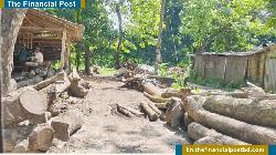 সরকারি খাল দখল করে স মিলের ব্যবসার অভিযোগ: যুবদল নেতার বিরুদ্ধে 