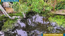 উপকূলের ৪ লাখ মানুষের সুপেয় পানি নিশ্চিত করার দাবি
