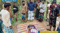 বাইশারীতে রাবার বাগানে শ্রমিকের মৃত্যু