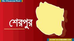 শেরপুরে জমি বিরোধে ছেলের কুঠারাঘাতে মা গুরুতর আহত, ঘাতক গ্রেফতার