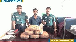 টঙ্গীতে ১২ কেজি গাঁজাসহ মাদক কারবারি গ্রেফতার