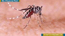 ডেঙ্গু আক্রান্ত হয়ে ফরিদপুরে প্রথম মৃত্যুর ঘটনা, হাসপাতালে ভর্তি ৩২ জন