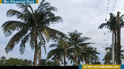 নেত্রকোনায় বিদ্যুৎস্পৃষ্টে কিশোরের মৃত্যু