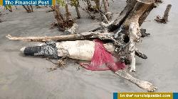 কুয়াকাটার সূর্যোদয় পয়েন্ট থেকে অজ্ঞাত যুবকের অর্ধগলিত লাশ উদ্ধার