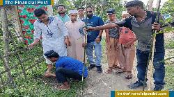 চিলমারীতে ছাত্রদলের বৃক্ষরোপণ কর্মসূচি