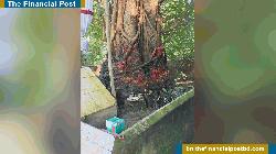 বোয়ালখালীতে জ্যৈষ্ঠপুরা বোধি বিহারে আগুন দিয়েছে দুর্বৃত্তরা