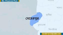 মেহেরপুরে ৮ দফা দাবিতে নার্সিং কর্মকর্তাদের অবস্থান ধর্মঘট