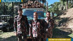 নাইক্ষ্যংছড়ি সীমান্তে বিপুল পরিমাণ অবৈধ কাঠ ও পিকআপ জব্দ