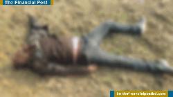 চুয়াডাঙ্গায় ভুট্টা ক্ষেতে অজ্ঞাত ব্যক্তির মরদেহ উদ্ধার