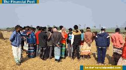 সুজানগরে ভোররাতে গরু চোরকে গণপিটুনি, নিহত ১