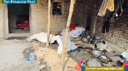 রাণীনগরে আগুনে দগ্ধ গৃহবধূর লাশ উদ্ধার