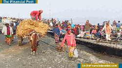 এবার নির্বাচনকে ঘিরে ভাগ্য উন্নয়নের আশায় কুড়িগ্রামের জনসাধারণ 