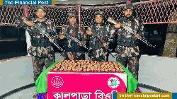 নওগাঁ সীমান্তে বিজিবি'র অভিযানে বিপুল পরিমাণ মাদক উদ্ধার