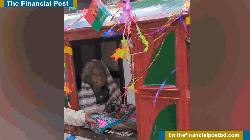 লৌহজংয়ে পালকিতে চড়ে ভোটকেন্দ্রে শতবর্ষী চাঁন বানু