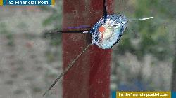 কোটালীপাড়ায় ব্যবসায়ীর বাড়িতে গুলি