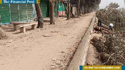 সড়কের গাছ কর্তন, বিএনপির সেই নেতার সব পদ স্থগিত