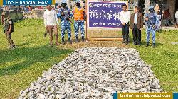 পিরোজপুরে দুই ট্রলার জাটকা উদ্ধার, তিনজনের কারাদণ্ড