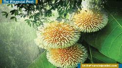 মৌসুমের প্রথম বৃষ্টিতে ভিজল ঢাকা