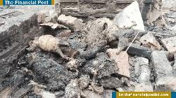 বাউফলে অগ্নিকাণ্ডে তিনটি বসত ঘর পুড়ে ছাই