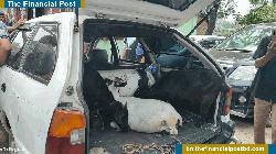 ওসমানীনগরে ৩ ছাগলসহ প্রাইভেটকার আটক
