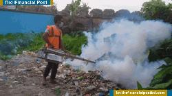 রসিক এলাকায় মশা নিধনের কার্যক্রম চলমান থাকলেও মশার ভয়াবহ প্রকোপ