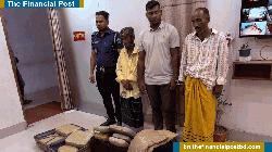 কসবায় পৃথক অভিযানে গাঁজা উদ্ধার, আটক ৩