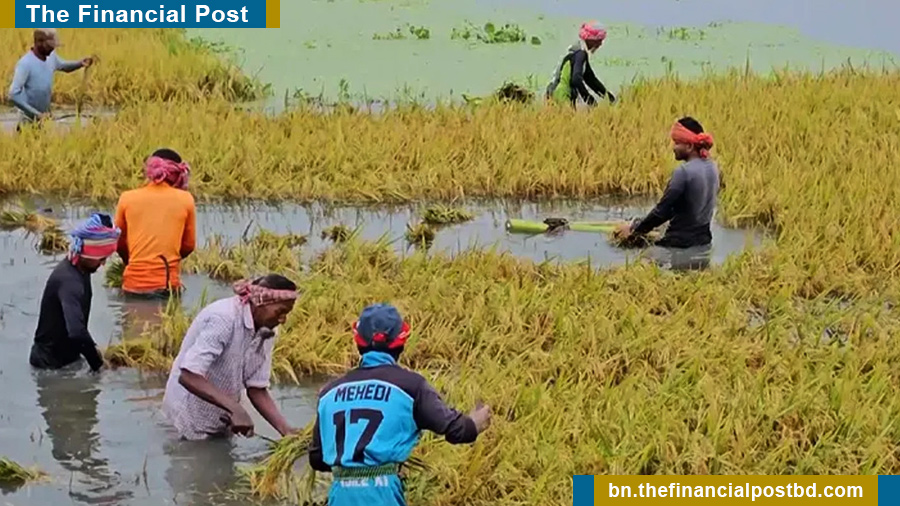 পাঁচ জেলার নিম্নাঞ্চল প্লাবিত